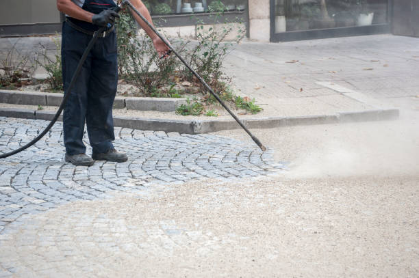 Best Pre-Holiday Cleaning  in Val Verde, CA