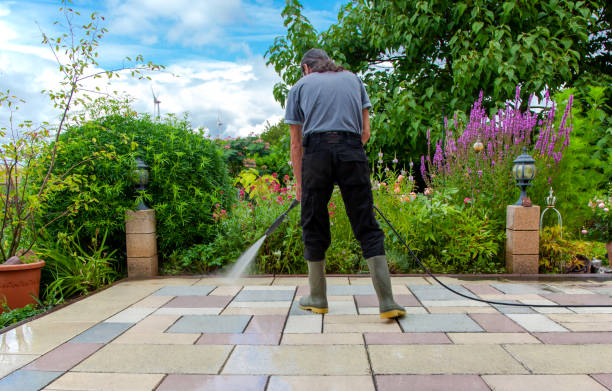 Best Animal Enclosure Cleaning  in Val Verde, CA
